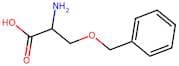O-Benzyl-DL-serine