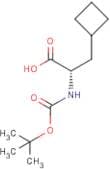 Boc-(S)-3-Cyclobutylalanine