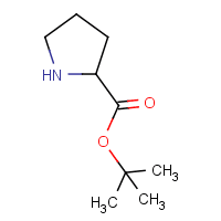 tert-Butyl pyrrolidine-2-carboxylate