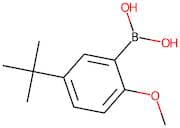 5-(tert-Butyl)-2-methoxybenzeneboronic acid