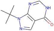 1-tert-Butyl-5H-pyrazolo[3,4-d]pyrimidin-4-one