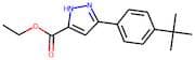 Ethyl 3-[4-(1,1-dimethylethyl)phenyl]-1H-pyrazole-5-carboxylate