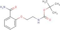 2-[2-(Boc-amino)ethoxy]benzamide