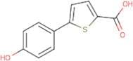 5-(4-Hydroxyphenyl)thiophene-2-carboxylic acid