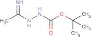 N-Boc-2-(1-Iminoethyl)hydrazine