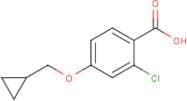 2-Chloro-4-(cyclopropylmethoxy)benzoic acid