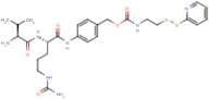4-((S)-2-((S)-2-amino-3-methylbutanamido)-5-ureidopentanamido)benzyl 2-(pyridin-2-yldisulfanyl)eth…