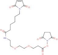 (2,5-dioxopyrrolidin-1-yl) 3-[2-[2-[6-(2,5-dioxopyrrol-1-yl)hexanoylamino]ethoxy]ethoxy]propanoate