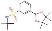 3-[N-(tert-Butyl)sulfamoyl]phenylboronic acid Pinacol Ester