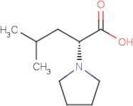 (R)-4-Methyl-2-(1-pyrrolidinyl)pentanoic acid