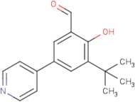 3-(tert-Butyl)-2-hydroxy-5-(4-pyridyl)benzaldehyde