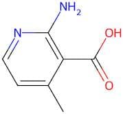 2-Amino-4-methylnicotinic acid