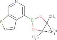 Thieno[2,3-c]pyridine-4-boronic acid, pinacol ester