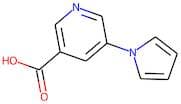 5-(1H-Pyrrol-1-yl)nicotinic acid