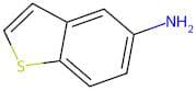 5-Aminobenzo[b]thiophene