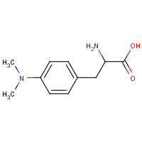 2-amino-3-[4-(dimethylamino)phenyl]propanoic acid