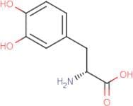 (2R)-2-Amino-3-(3,4-dihydroxyphenyl)propanoic acid