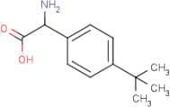 2-Amino-2-(4-tert-butylphenyl)acetic acid