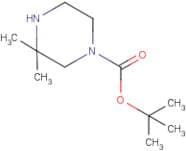 tert-Butyl 3,3-dimethylpiperazine-1-carboxylate