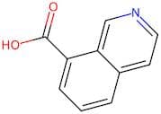 Isoquinoline-8-carboxylic acid