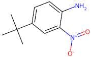 4-(tert-Butyl)-2-nitroaniline