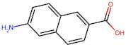 6-Amino-2-naphthoic acid