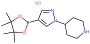 1-(Piperidin-4-yl)-1H-pyrazole-4-boronic acid, pinacol ester hydrochloride