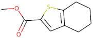 Methyl 4,5,6,7-tetrahydrobenzo[b]thiophene-2-carboxylate