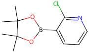 2-Chloropyridine-3-boronic acid, pinacol ester