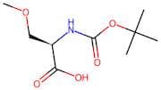 Boc-O-Methyl-D-serine