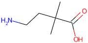 4-Amino-2,2-dimethyl-butyric acid