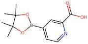 2-Carboxypyridine-4-boronic acid, pinacol ester