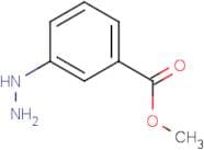 Methyl 3-hydrazinobenzoate