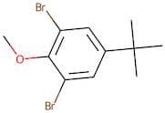2,6-Dibromo-4-tert-butylanisole