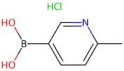 6-Methylpyridine-3-boronic acid hydrochloride