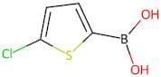 5-Chlorothiophene-2-boronic acid