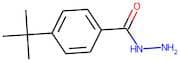 4-(tert-Butyl)benzhydrazide