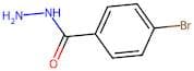 4-Bromobenzhydrazide