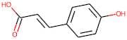 (E)-4-Hydroxycinnamic acid