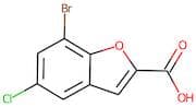 7-Bromo-5-chlorobenzofuran-2-carboxylic acid