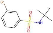 3-Bromo-N-(tert-butyl)benzenesulphonamide