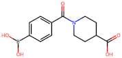 4-(1-Carbonyl-4-carboxypiperidine)benzeneboronic acid