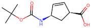 (1S,4R)-(-)-4-Aminocyclopent-2-ene-1-carboxylic acid, N-BOC protected