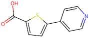 5-(Pyridin-4-yl)thiophene-2-carboxylic acid