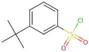 3-(tert-Butyl)benzenesulphonyl chloride