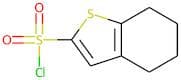 4,5,6,7-Tetrahydrobenzo[b]thiophene-2-sulphonyl chloride