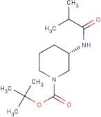 (3S)-3-(Isobutanoylamino)piperidine, N1-BOC protected