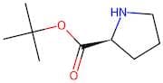 tert-Butyl (2S)-pyrrolidine-2-carboxylate