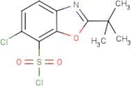 2-(tert-Butyl)-6-chloro-1,3-benzoxazole-7-sulphonyl chloride