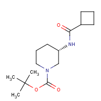 (3S)-3-[(Cyclobutylcarbonyl)amino]piperidine, N1-BOC protected
